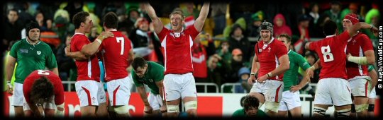 QF1 Ireland v Wales celebrations